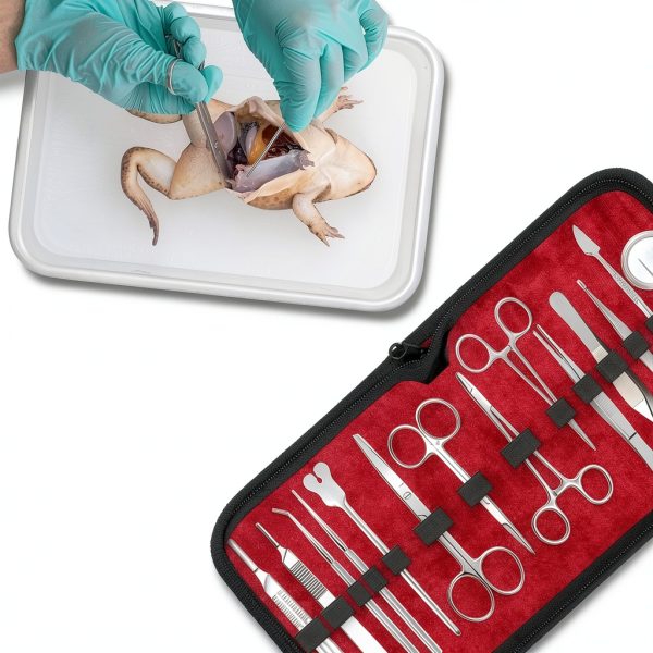 Advanced Dissection Kit 37-Piece Stainless Steel Set by VISION TEK MED-1