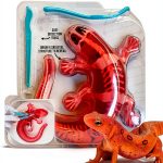 Dissect It Mini Labs Salamander Synthetic Kit Top Secret Toys Gelatin-0