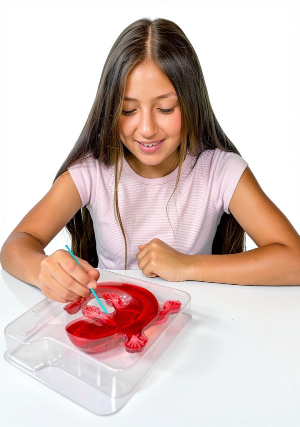 Dissect It Mini Labs Salamander Synthetic Kit Top Secret Toys Gelatin-2