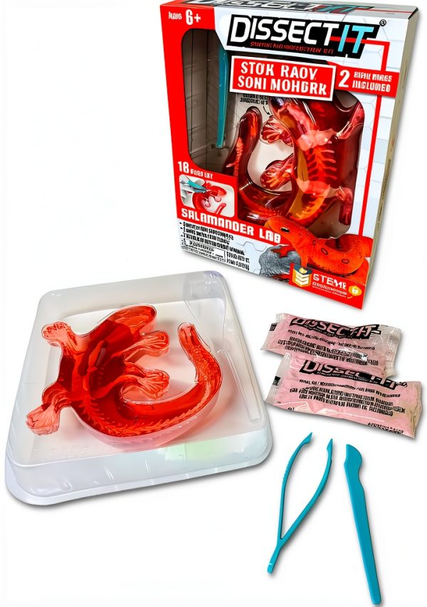 Dissect It Mini Labs Salamander Synthetic Kit Top Secret Toys Gelatin-1