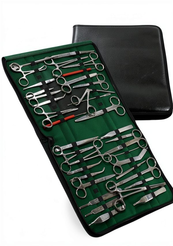 Premium ARTLAB 157 Pieces Instruments Kit Veterinary Scissors Forceps Needle Holders Scalpel Handle, Stainless Steel Instruments kit with Carrying case-2