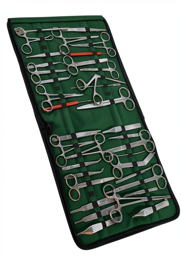 Premium ARTLAB 157 Pieces Instruments Kit Veterinary Scissors Forceps Needle Holders Scalpel Handle, Stainless Steel Instruments kit with Carrying case-3